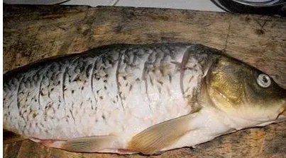 清炖鱼的做法 清炖鱼怎么做如何做好吃