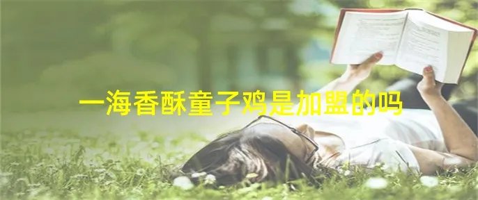 一海香酥童子鸡是加盟的吗