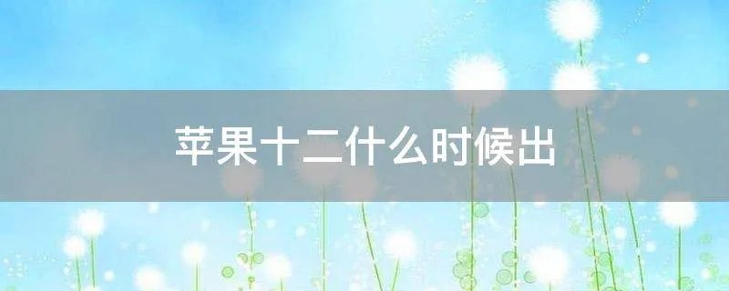 苹果十二什么时候出