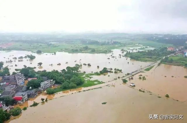 有亲历过98年九江洪水的人吗？