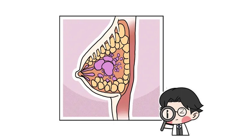 为什么男人更喜欢漂亮的女人？科学解释：“好色”不是男人的错