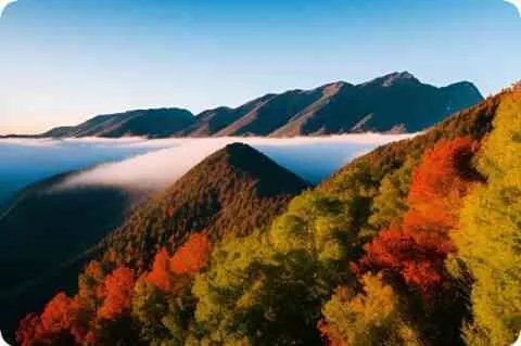 女孩芳龄十三被称为豆蔻年华，十四岁被称作什么？十五岁呢？