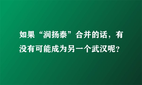 如果“润扬泰”合并的话，有没有可能成为另一个武汉呢？