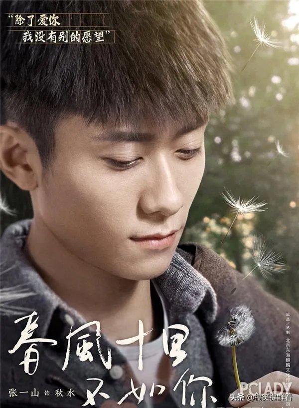 怎么评价电视剧《春风十里不如你》?剧中演员的表现如何?