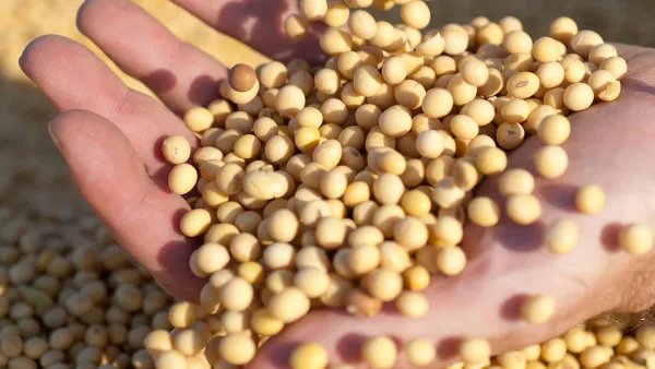 多囊卵巢综合症饮食