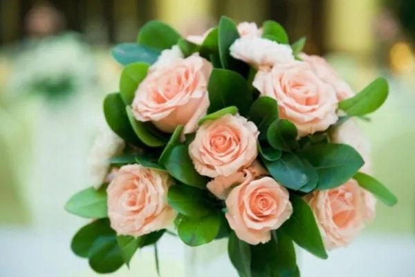 旅店之花的介绍