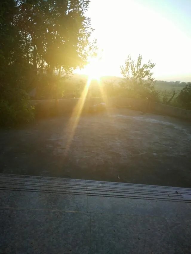 发财路是想出来吗？