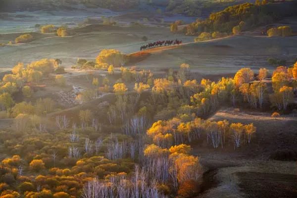 丰宁坝上草原自驾游攻略 丰宁坝上草原自驾游