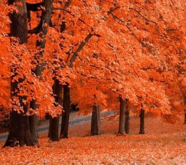 关门山好玩吗?本溪关门山怎么样?