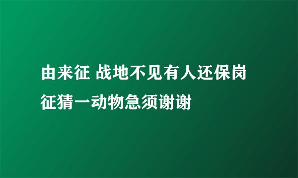 由来征 战地不见有人还保岗征猜一动物急须谢谢