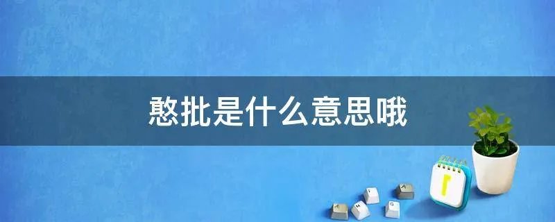 憨批是什么意思哦