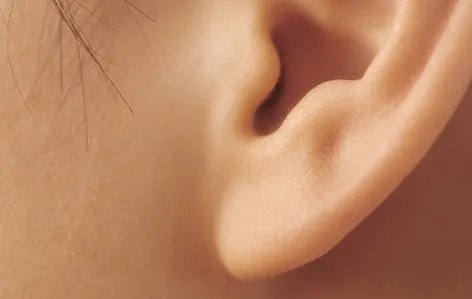 丰耳垂效果怎么样