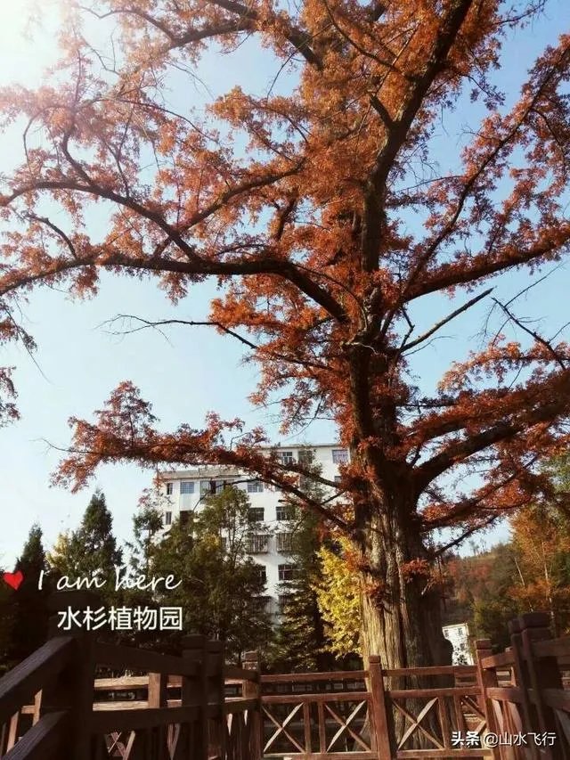 湖北恩施哪里的房产最好最有潜力？