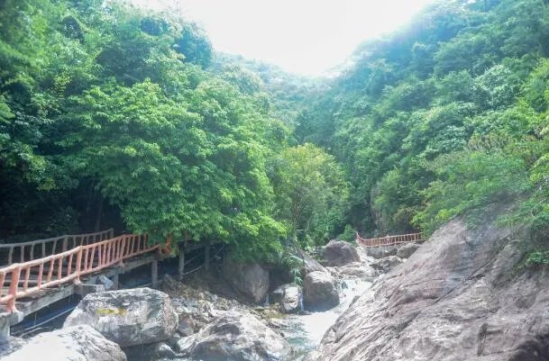 白水寨在哪里 白水寨在哪个城市