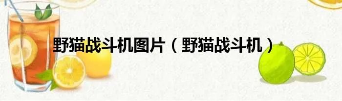 野猫战斗机图片（野猫战斗机）