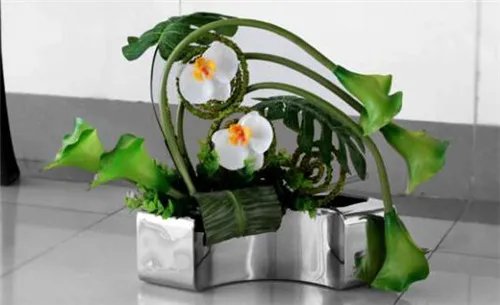 插花艺术图片赏析     精美的各式插花艺术