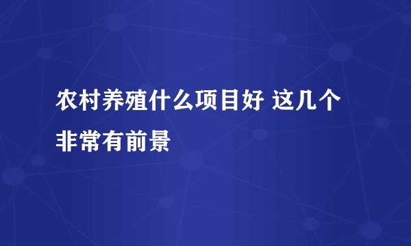 农村养殖什么项目好 这几个非常有前景