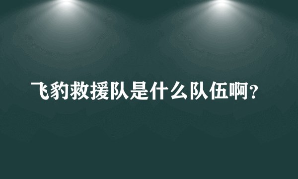 飞豹救援队是什么队伍啊？