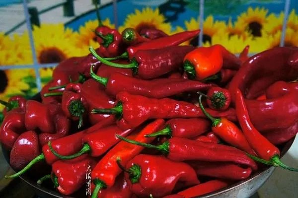 自制辣椒酱的做法家常