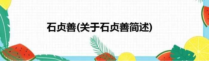 石贞善(关于石贞善简述)