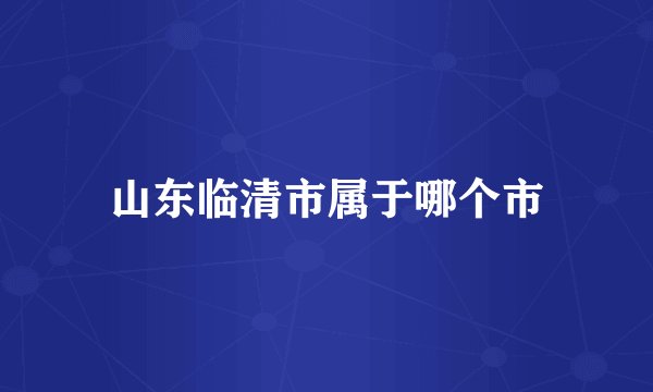 山东临清市属于哪个市