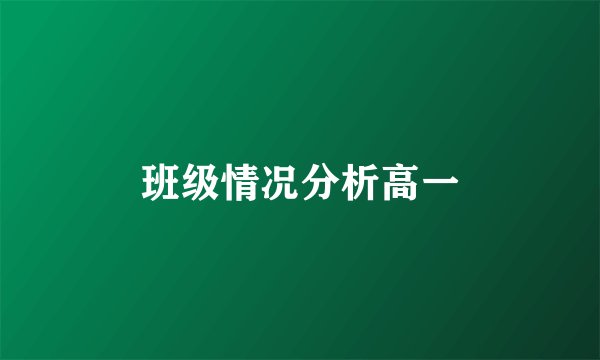 班级情况分析高一