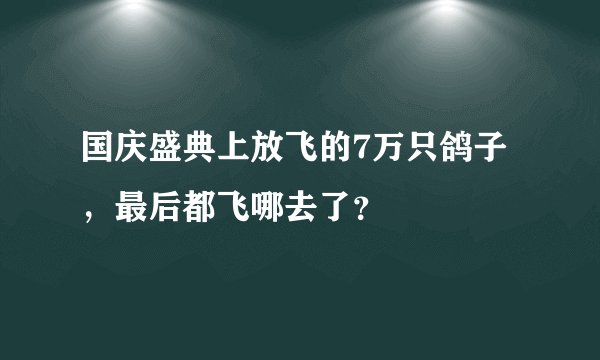 国庆盛典上放飞的7万只鸽子，最后都飞哪去了？