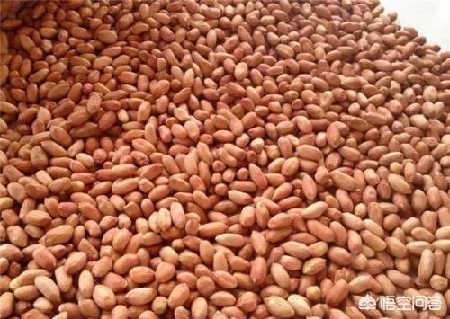 近期花生米价格出现了大涨的行情，这是什么原因造成的？