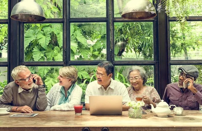  绞股蓝茶多少钱一斤