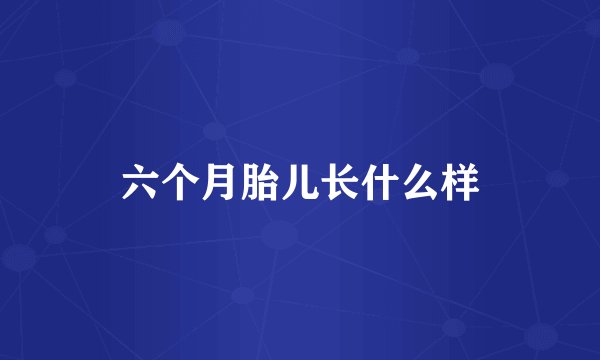 六个月胎儿长什么样
