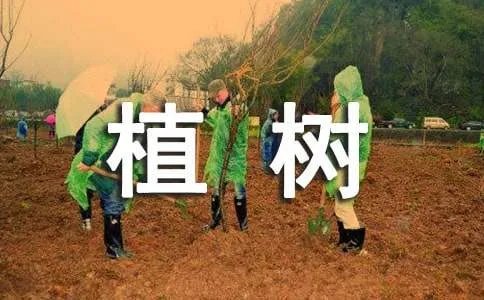 植树的作文