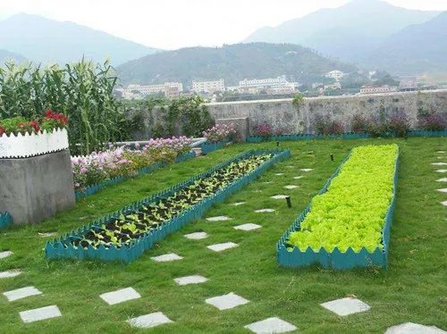 屋顶菜园的优点 屋顶菜园该注意什么