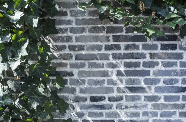 青砖价格多少 和红砖的区别有哪些 复古青砖墙图片欣赏