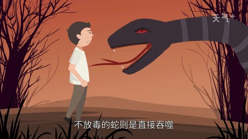 梦见被蛇追是什么意思
