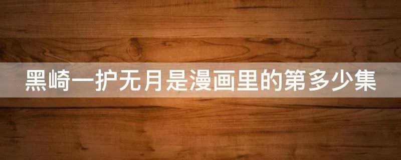 黑崎一护无月是漫画里的第多少集