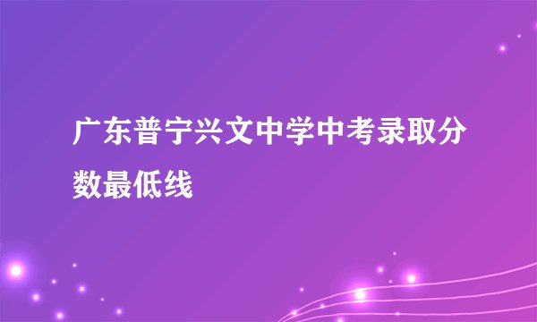 广东普宁兴文中学中考录取分数最低线