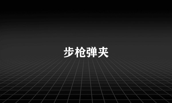 步枪弹夹