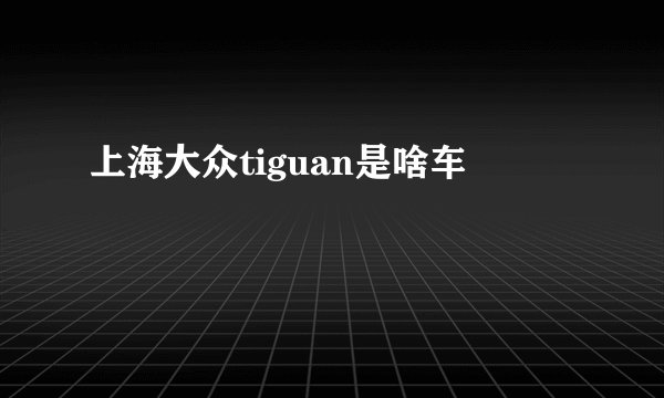 上海大众tiguan是啥车