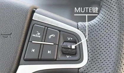 mute是什么意思？