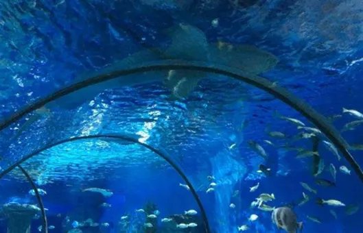 兰州极地海洋世界怎么样，值得去玩么？