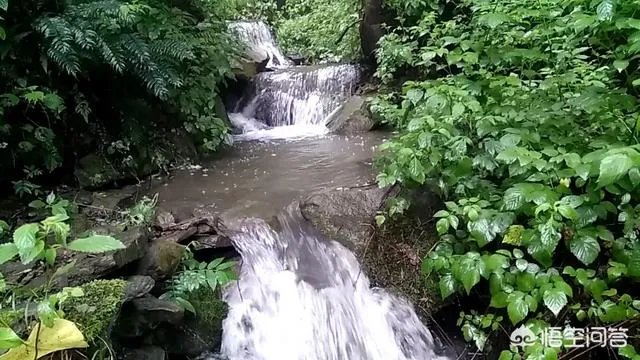 古往今来，为何隐士、修行者会首选终南山隐逸修行？