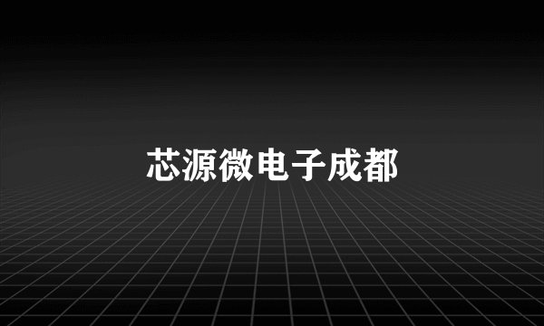 芯源微电子成都