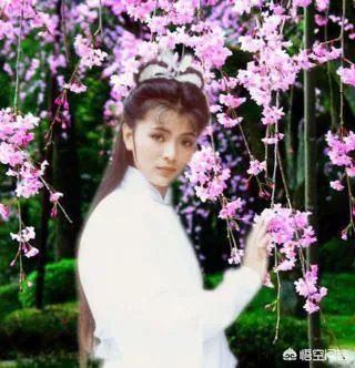 神雕侠侣版本那么多，为什么还是感觉李若彤版的小龙女最经典漂亮？