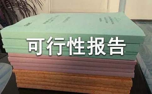 项目可行性报告