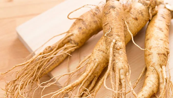 人参皂甙的作用