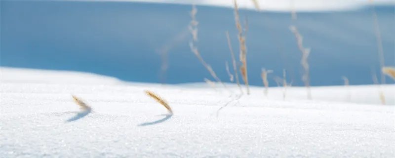 一九二九三九顺口溜 一九二九三九顺口溜全文 一九二九顺口溜怎么说