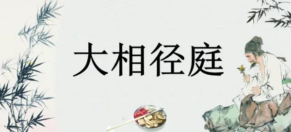 大相径庭的拼音是什么