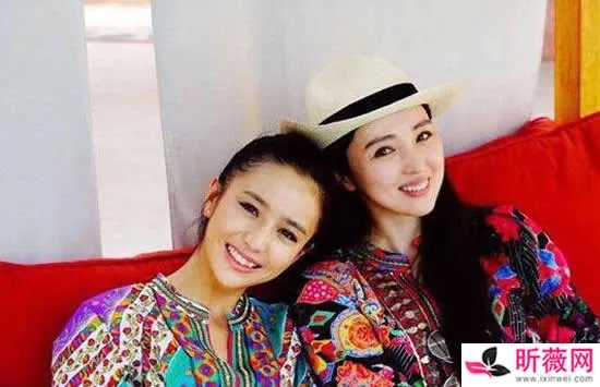 董璇和佟丽娅长得很像 董璇和佟丽娅私下是什么关系
