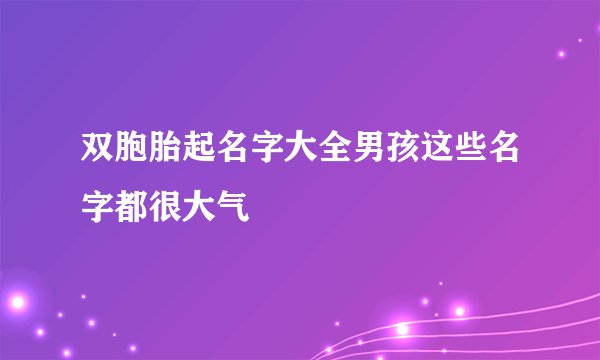 双胞胎起名字大全男孩这些名字都很大气