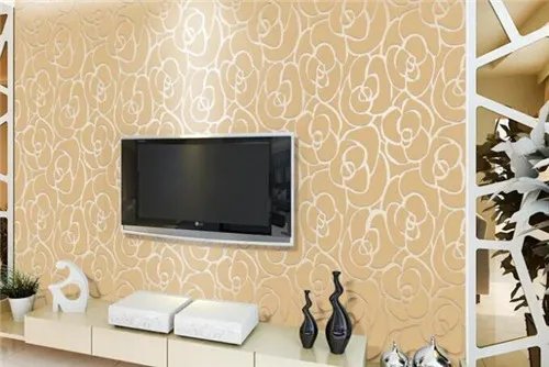 硅藻泥是什么东西